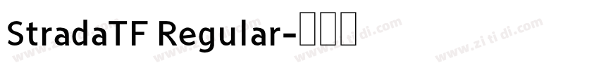 StradaTF Regular字体转换